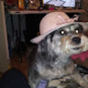 Meet your Posher, Adalia